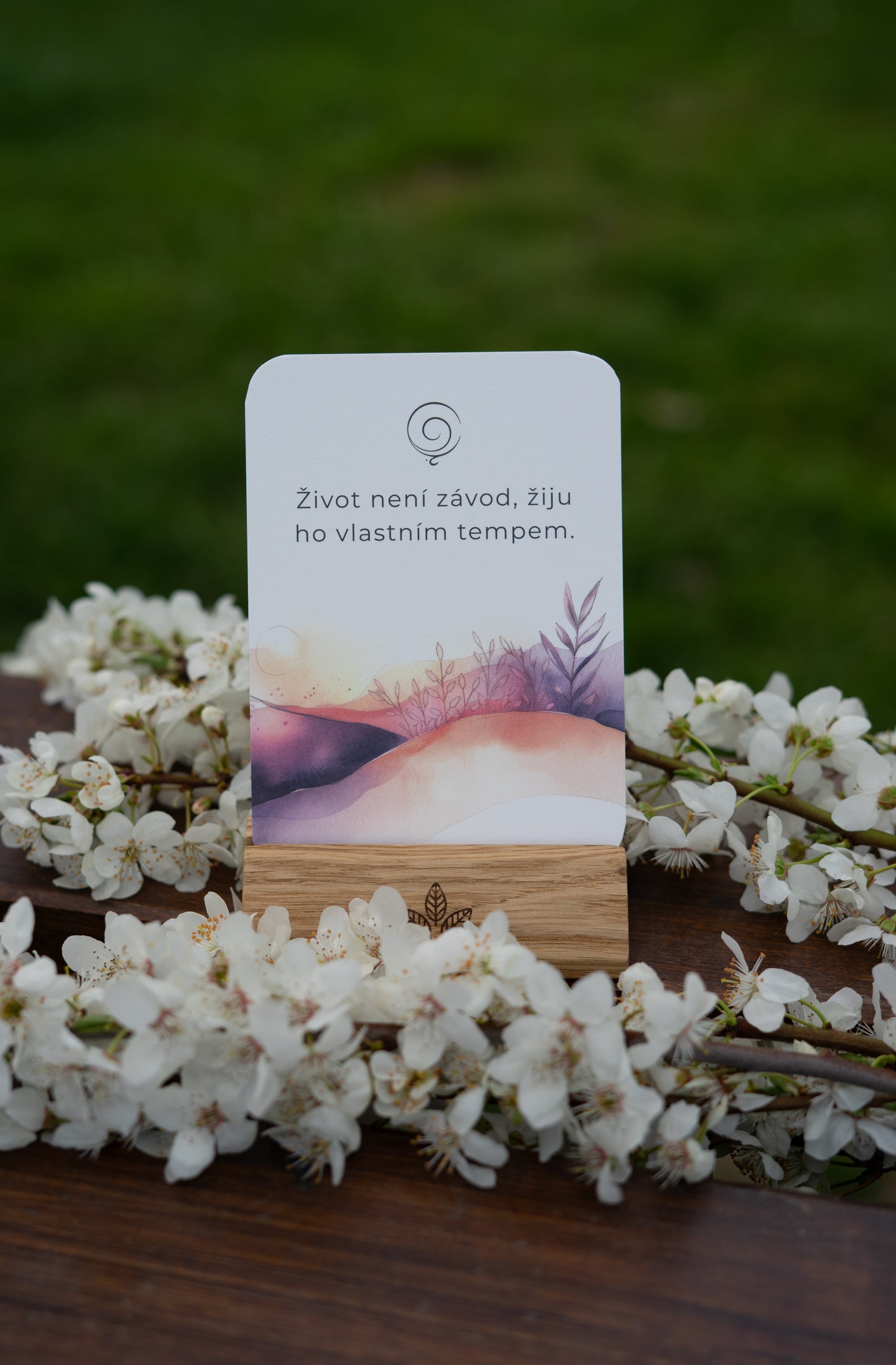 Affirmationskarten mit Ständer